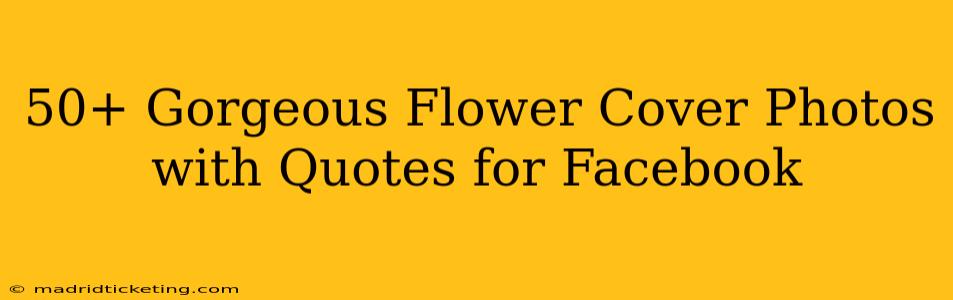 50+ Gorgeous Flower Cover Photos with Quotes for Facebook