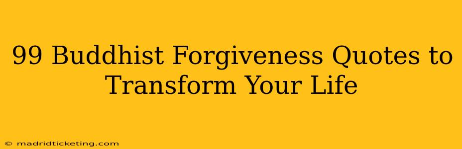 99 Buddhist Forgiveness Quotes to Transform Your Life