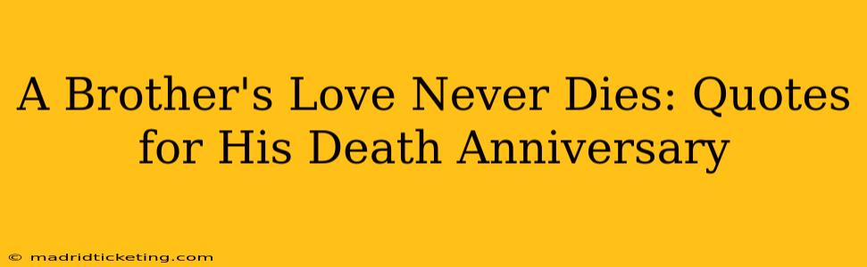 A Brother's Love Never Dies: Quotes for His Death Anniversary