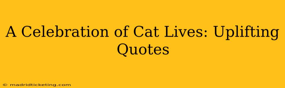 A Celebration of Cat Lives: Uplifting Quotes