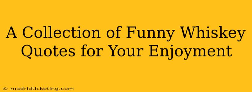 A Collection of Funny Whiskey Quotes for Your Enjoyment
