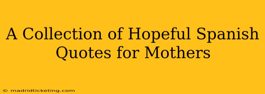 A Collection of Hopeful Spanish Quotes for Mothers