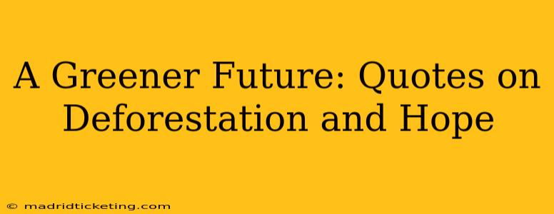 A Greener Future: Quotes on Deforestation and Hope