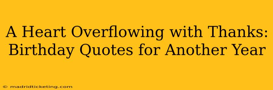 A Heart Overflowing with Thanks: Birthday Quotes for Another Year