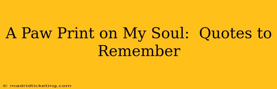 A Paw Print on My Soul:  Quotes to Remember