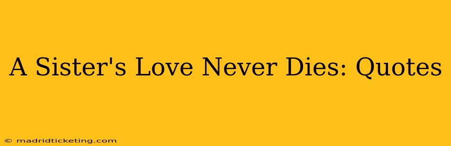 A Sister's Love Never Dies: Quotes