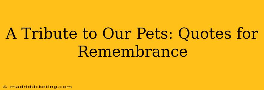 A Tribute to Our Pets: Quotes for Remembrance