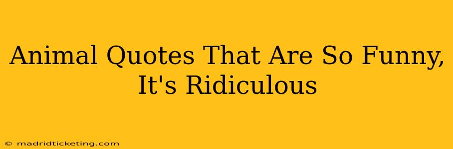 Animal Quotes That Are So Funny, It's Ridiculous