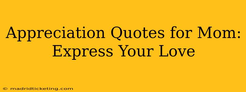 Appreciation Quotes for Mom: Express Your Love