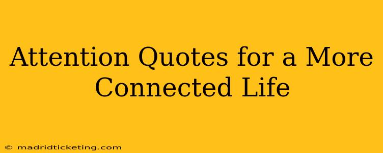Attention Quotes for a More Connected Life
