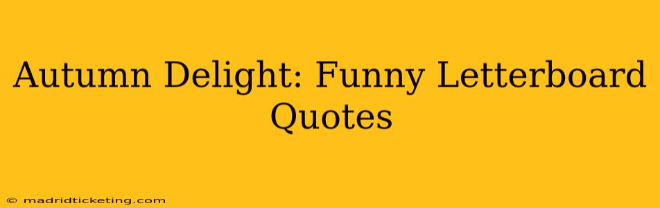 Autumn Delight: Funny Letterboard Quotes