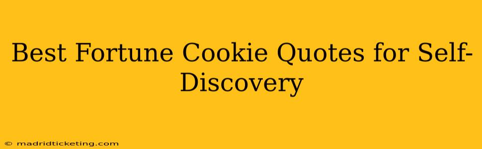 Best Fortune Cookie Quotes for Self-Discovery