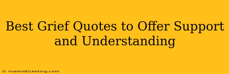 Best Grief Quotes to Offer Support and Understanding