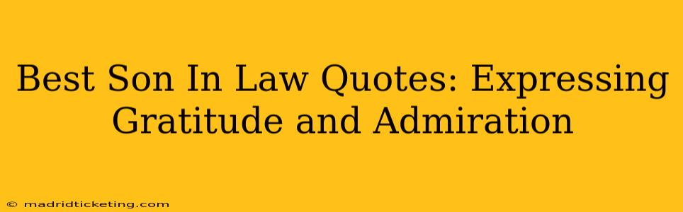 Best Son In Law Quotes: Expressing Gratitude and Admiration