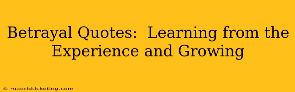 Betrayal Quotes:  Learning from the Experience and Growing