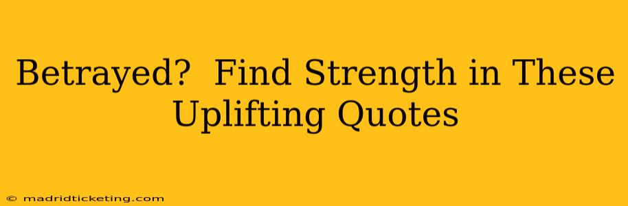 Betrayed?  Find Strength in These Uplifting Quotes