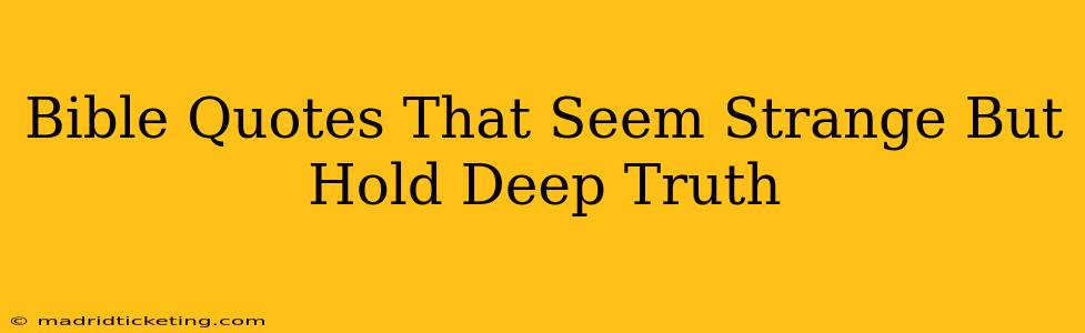 Bible Quotes That Seem Strange But Hold Deep Truth
