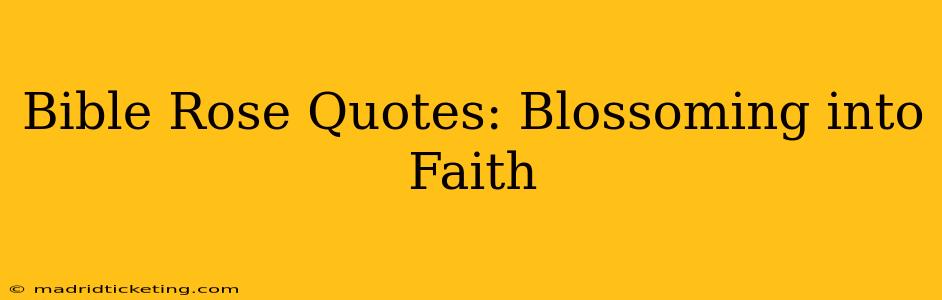 Bible Rose Quotes: Blossoming into Faith