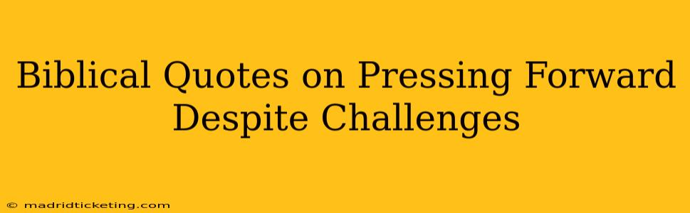 Biblical Quotes on Pressing Forward Despite Challenges