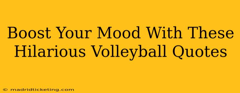 Boost Your Mood With These Hilarious Volleyball Quotes