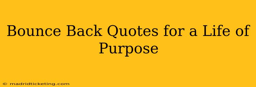 Bounce Back Quotes for a Life of Purpose