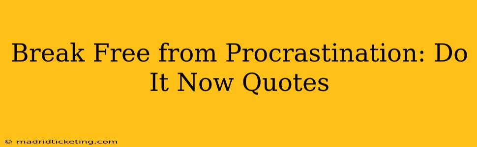 Break Free from Procrastination: Do It Now Quotes