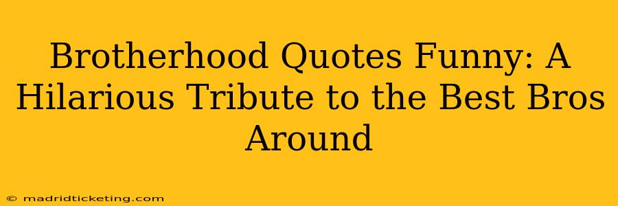 Brotherhood Quotes Funny: A Hilarious Tribute to the Best Bros Around