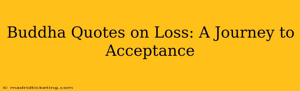 Buddha Quotes on Loss: A Journey to Acceptance