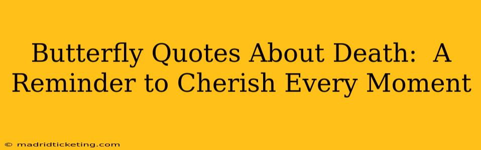 Butterfly Quotes About Death:  A Reminder to Cherish Every Moment