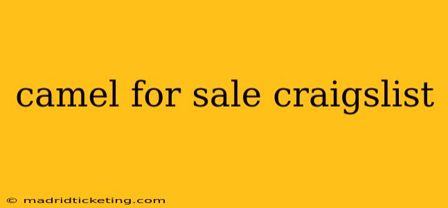 camel for sale craigslist