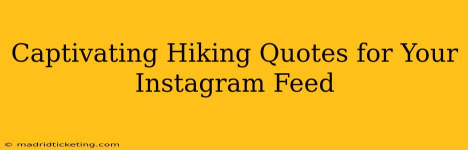 Captivating Hiking Quotes for Your Instagram Feed