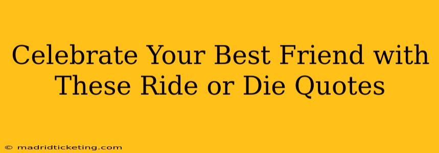 Celebrate Your Best Friend with These Ride or Die Quotes