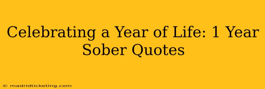 Celebrating a Year of Life: 1 Year Sober Quotes