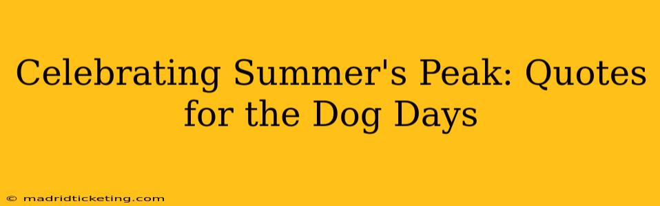 Celebrating Summer's Peak: Quotes for the Dog Days