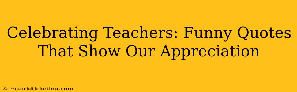 Celebrating Teachers: Funny Quotes That Show Our Appreciation