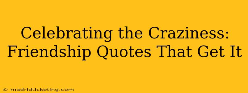 Celebrating the Craziness: Friendship Quotes That Get It