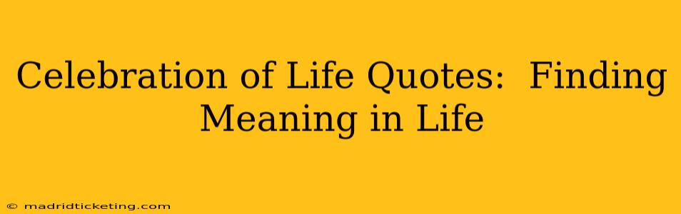 Celebration of Life Quotes:  Finding Meaning in Life