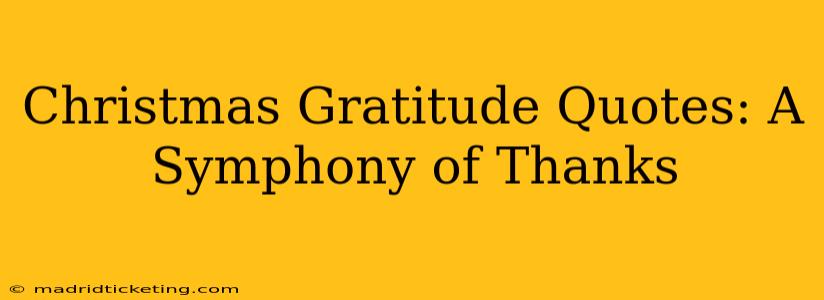 Christmas Gratitude Quotes: A Symphony of Thanks