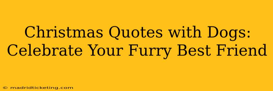 Christmas Quotes with Dogs: Celebrate Your Furry Best Friend