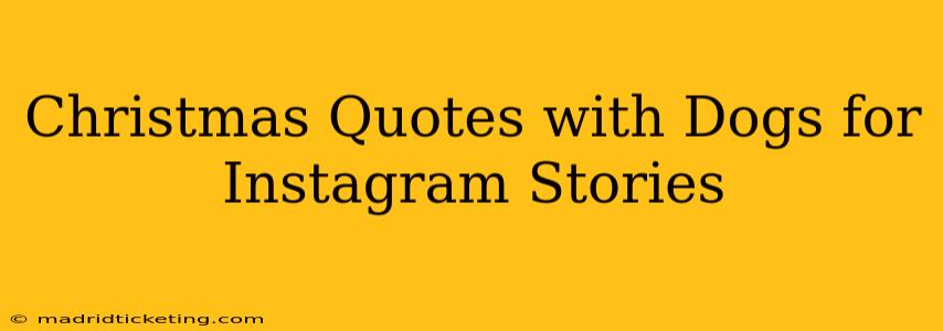 Christmas Quotes with Dogs for Instagram Stories