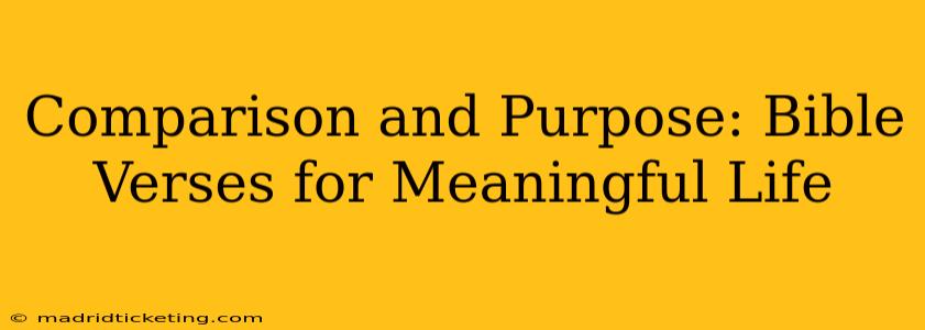 Comparison and Purpose: Bible Verses for Meaningful Life