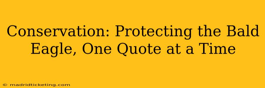 Conservation: Protecting the Bald Eagle, One Quote at a Time