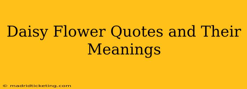 Daisy Flower Quotes and Their Meanings