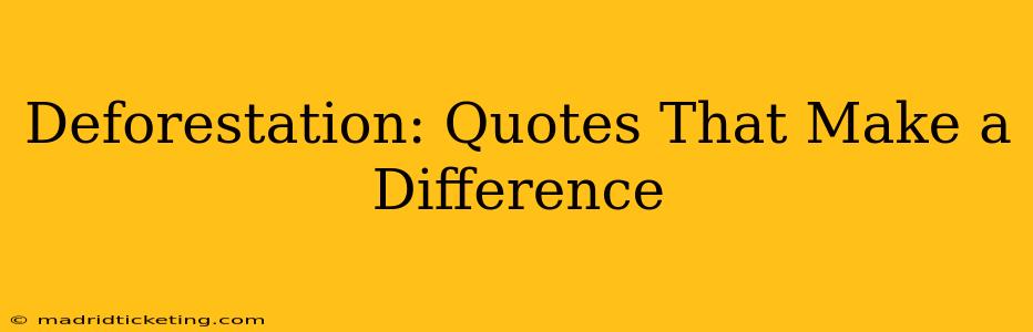 Deforestation: Quotes That Make a Difference