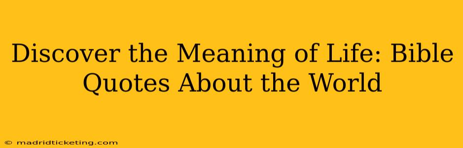 Discover the Meaning of Life: Bible Quotes About the World