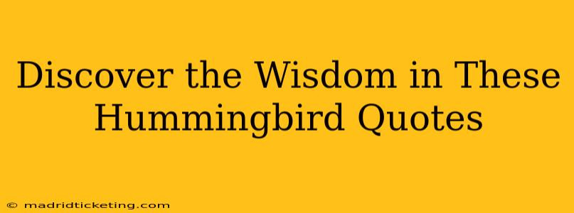 Discover the Wisdom in These Hummingbird Quotes
