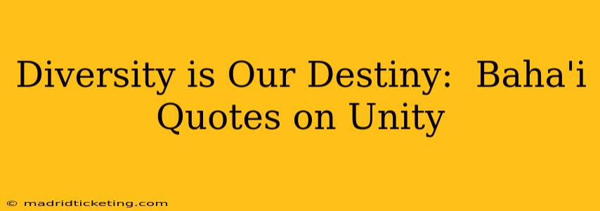 Diversity is Our Destiny:  Baha'i Quotes on Unity