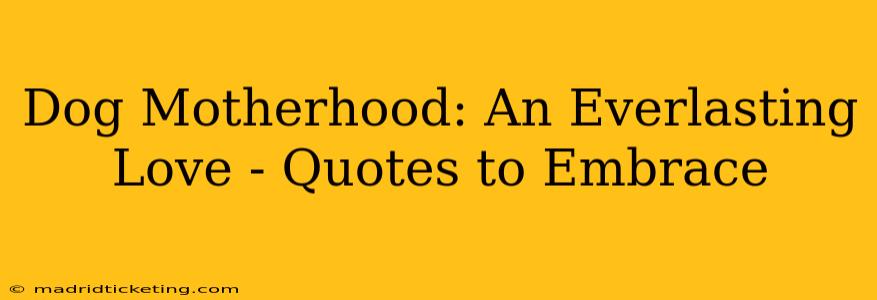 Dog Motherhood: An Everlasting Love - Quotes to Embrace