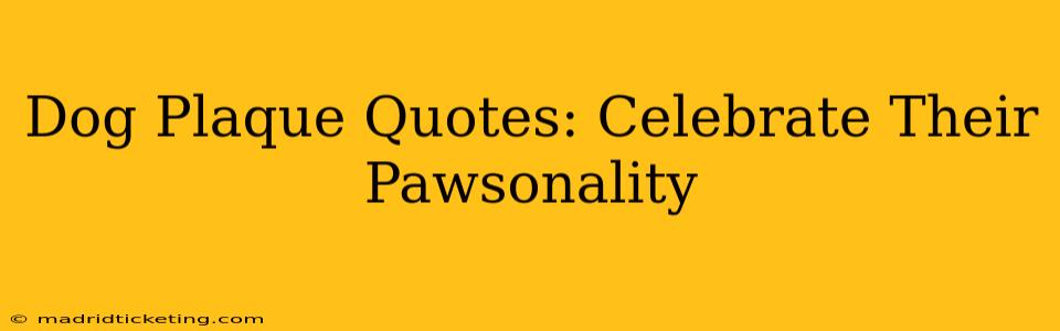 Dog Plaque Quotes: Celebrate Their Pawsonality