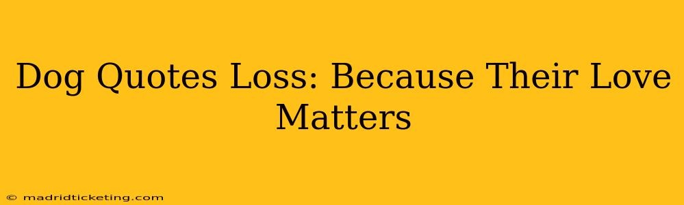 Dog Quotes Loss: Because Their Love Matters